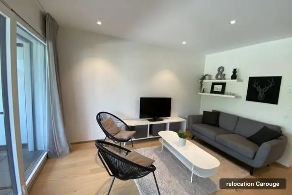 BR-Consulting Real Estate & Relocation Sarl, relocation à Carouge