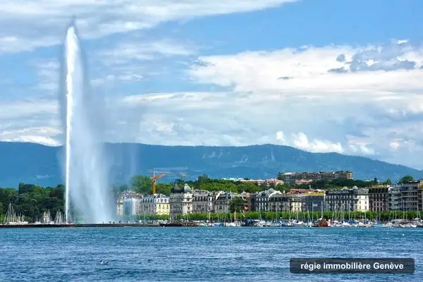 EdM16 Agence Immobilière Sàrl, régie immobilière à Genève