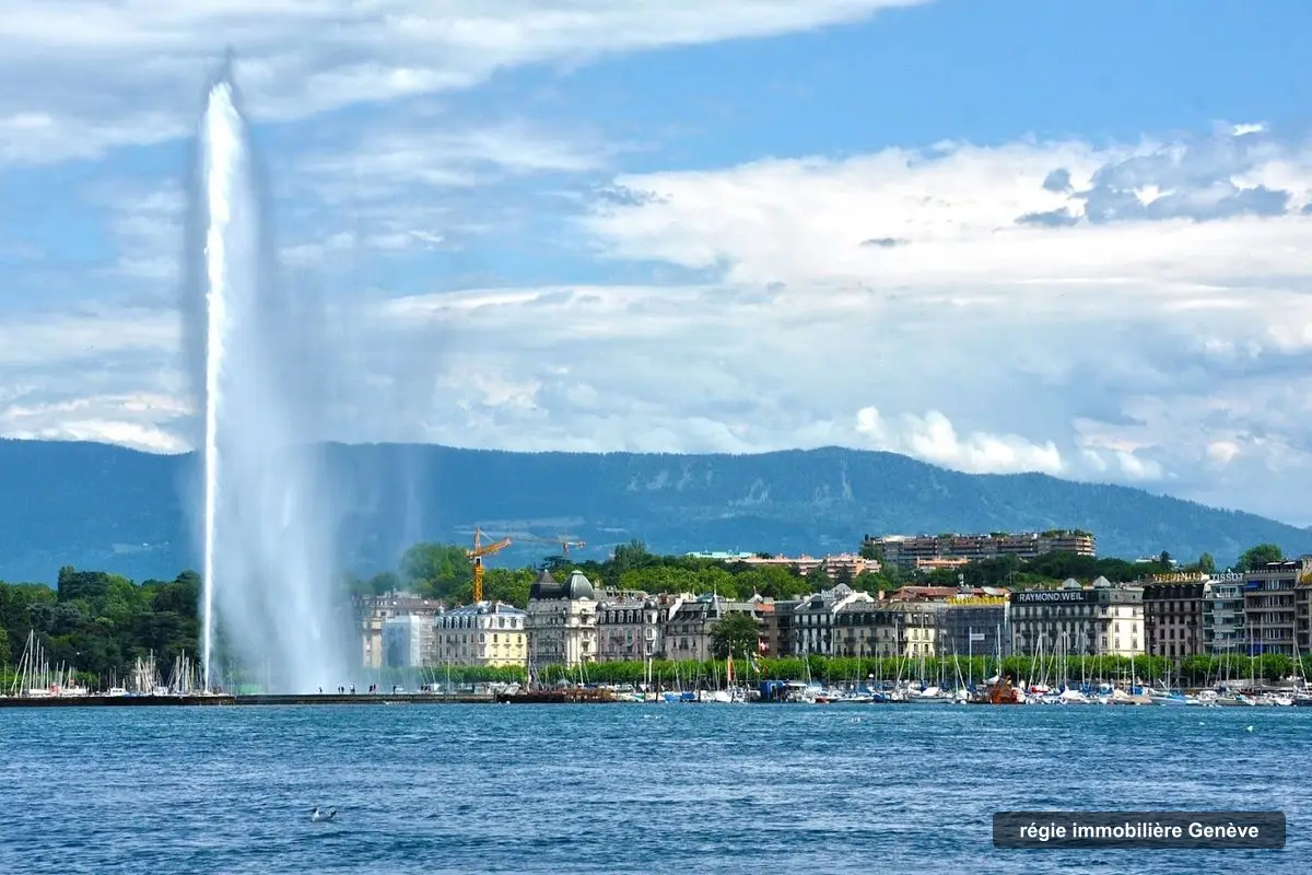 EdM16 Agence Immobilière Sàrl, letting agency in Geneva