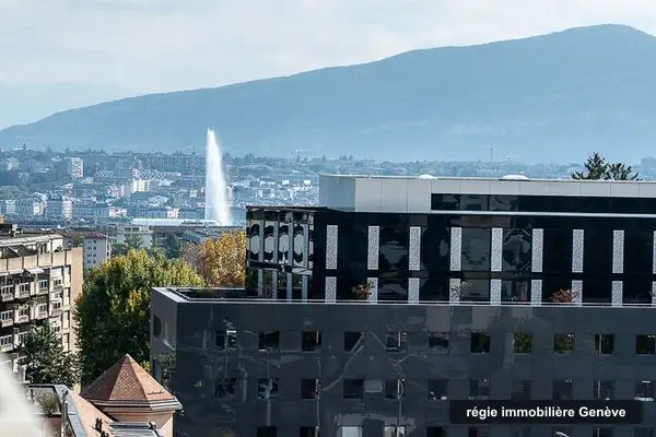 Insky Immobilier, régie immobilière à Genève