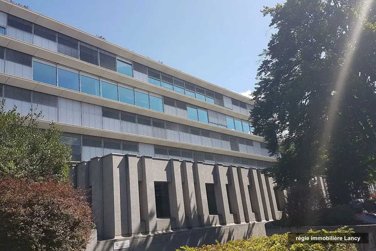 Naef Immobilier Genève SA (Siège & location), letting agency in Lancy