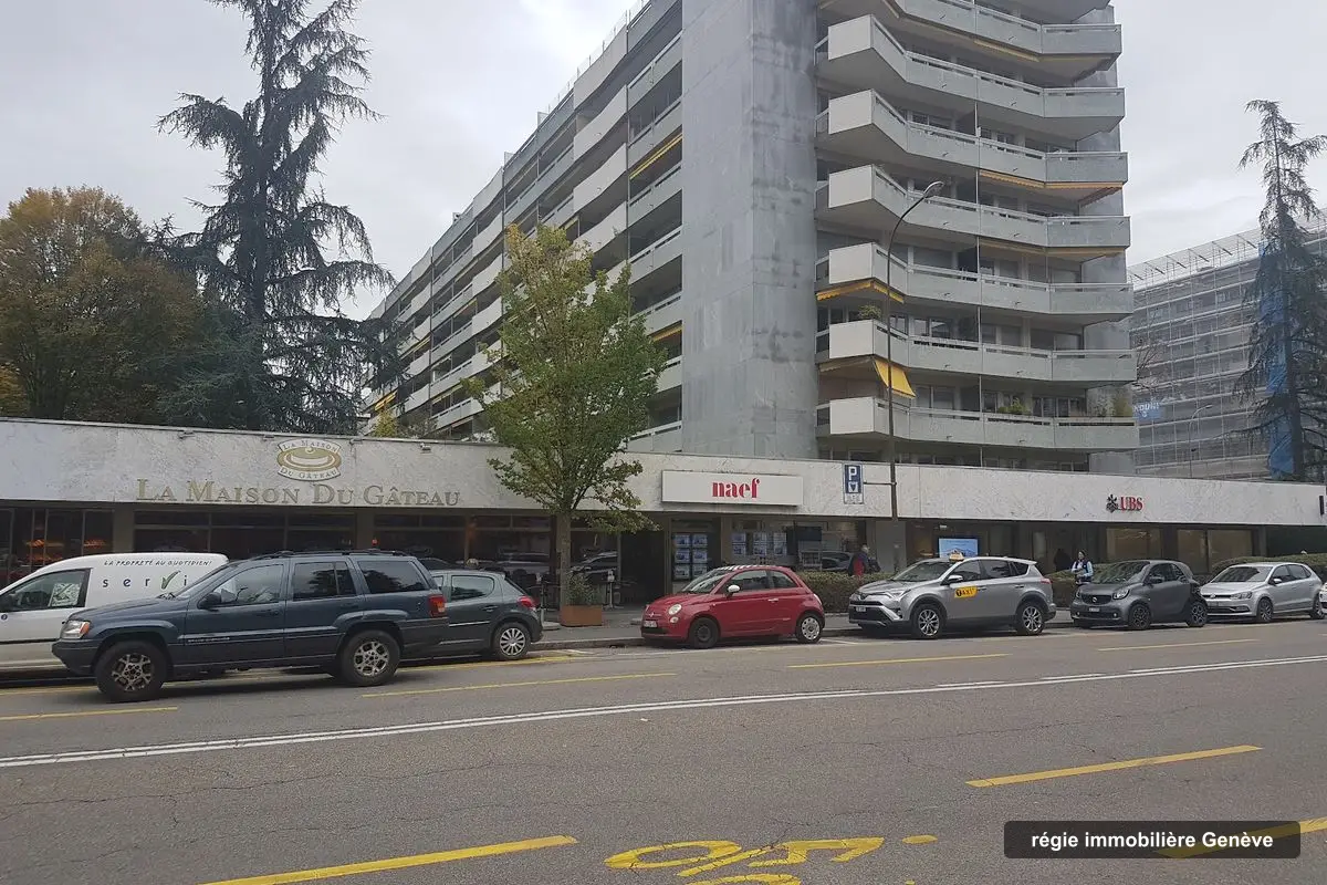 Naef Immobilier Genève SA (Vente), régie immobilière à Genève