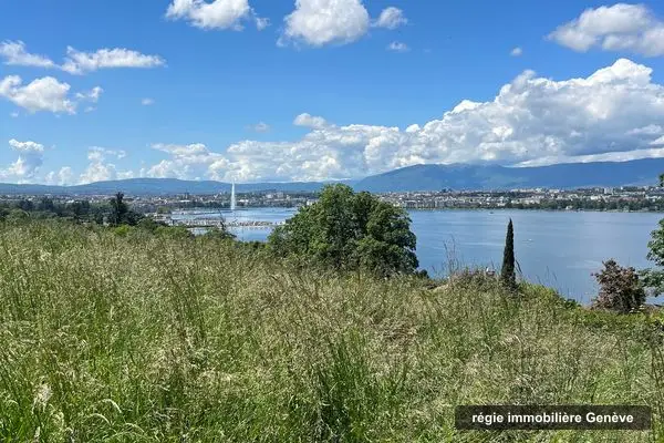 Régie Immobilière à Genève - Progrimm SA, régie immobilière à Genève
